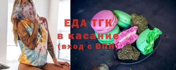 стаф Медногорск