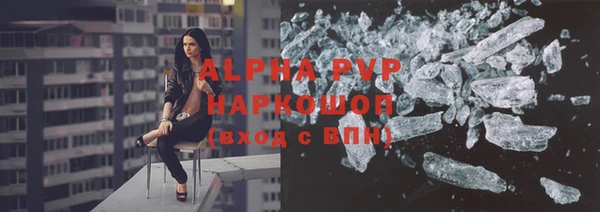 стаф Медногорск