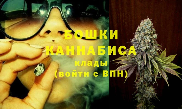 дурь Мегион