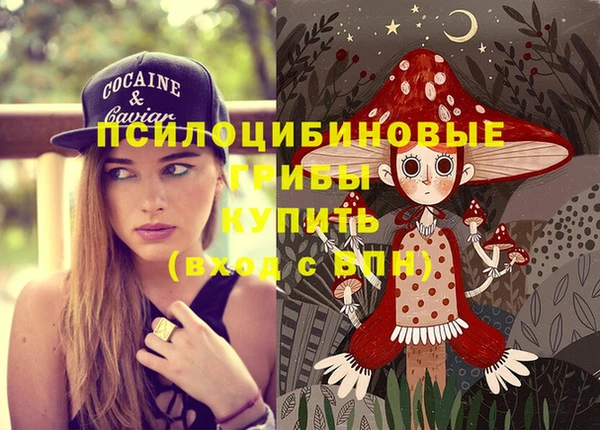 стаф Медногорск