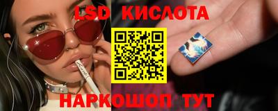 ПСИЛОЦИБИНОВЫЕ ГРИБЫ Гай