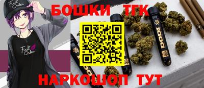 мдпв Гатчина