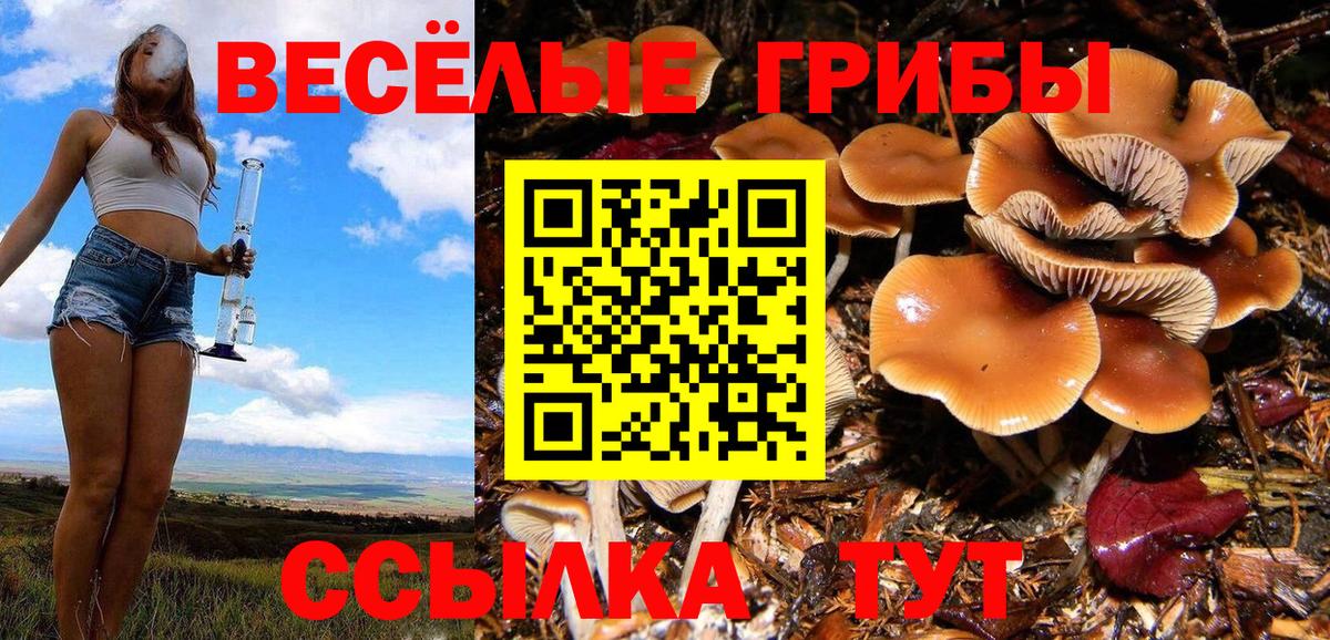 Екатеринбург  Галлюциногенные грибы Magic Shrooms  Вход с VPN 
