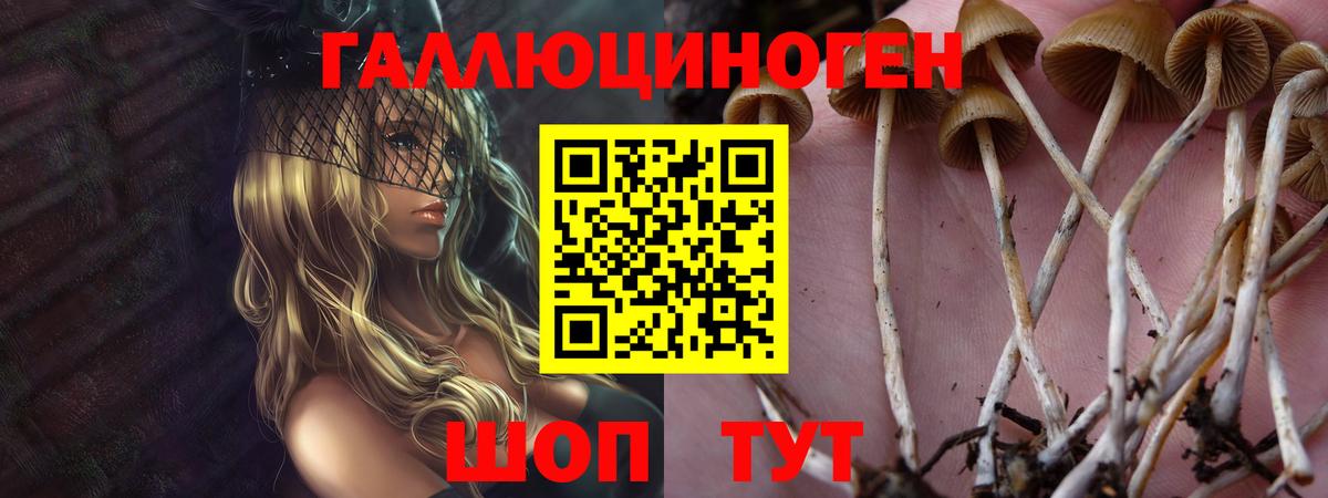 Псилоцибиновые грибы ЛСД Екатеринбург